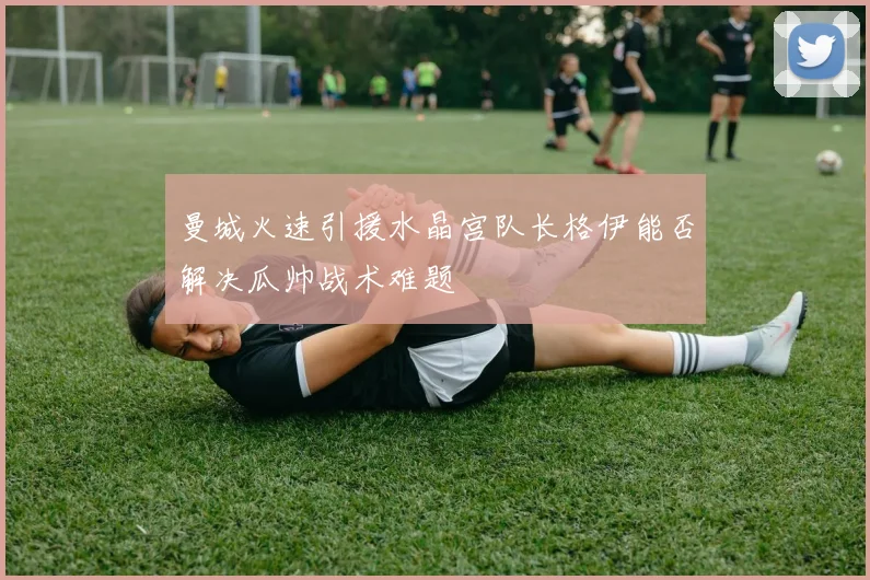 曼城火速引援水晶宫队长格伊能否解决瓜帅战术难题