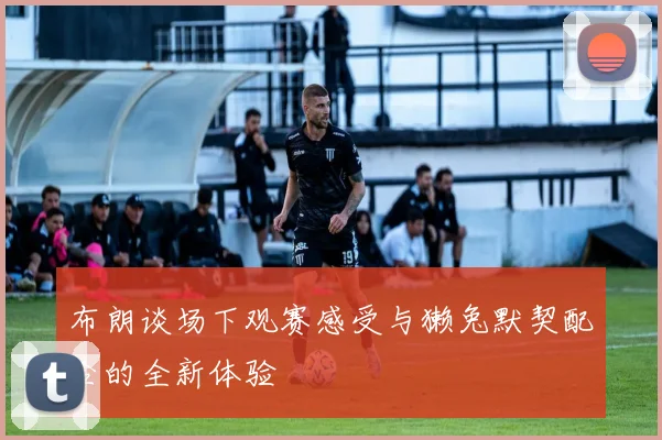 布朗谈场下观赛感受与獭兔默契配合的全新体验