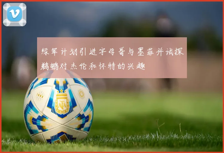 绿军计划引进字母哥与墨菲并试探鹈鹕对杰伦和怀特的兴趣